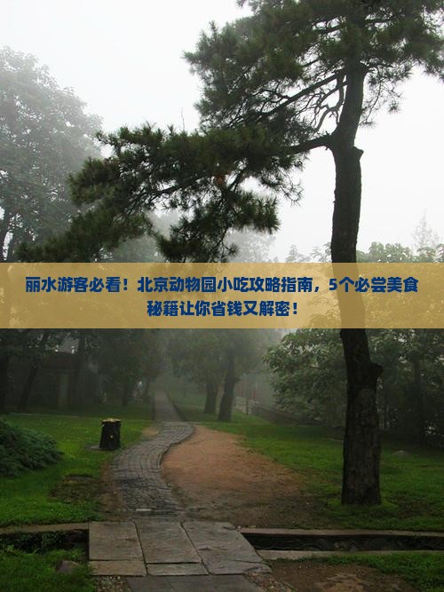 丽水到北京动物园旅游小吃