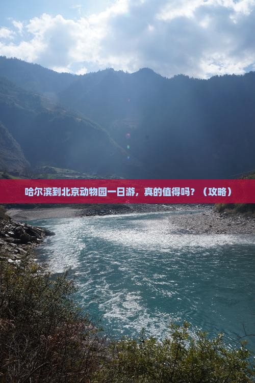 哈尔滨到北京动物园一日游