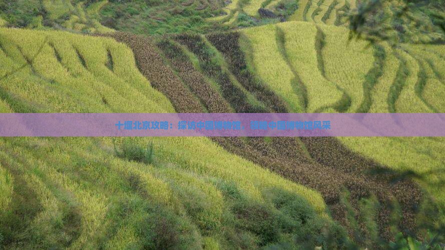 十堰去北京中国国家博物馆景点