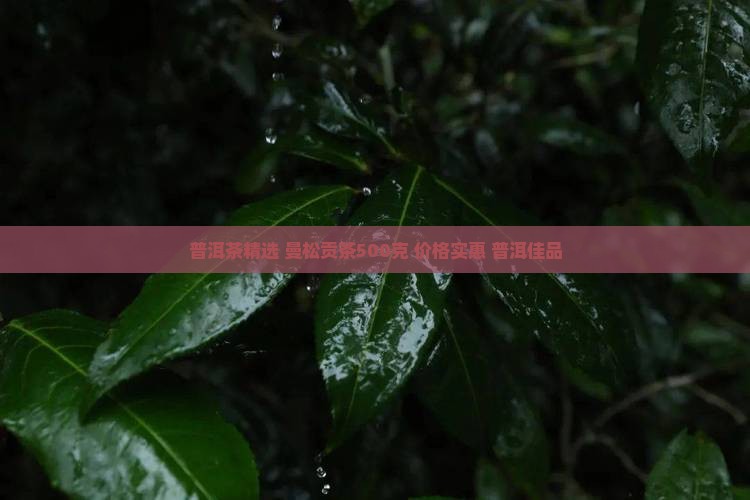 普洱茶精选 曼松贡茶500克 价格实惠 普洱佳品