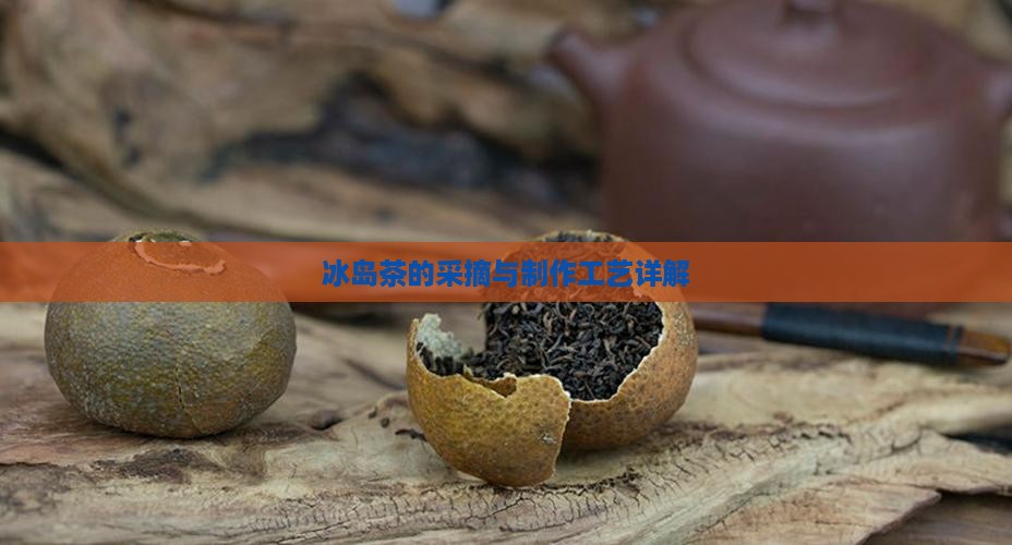 冰岛茶的采摘与制作工艺详解