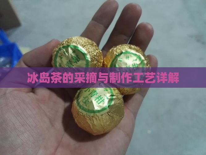 冰岛茶的采摘与制作工艺详解