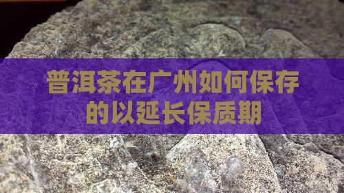 普洱茶在广州如何保存的以延长保质期