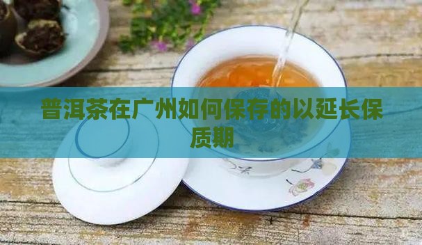 普洱茶在广州如何保存的以延长保质期