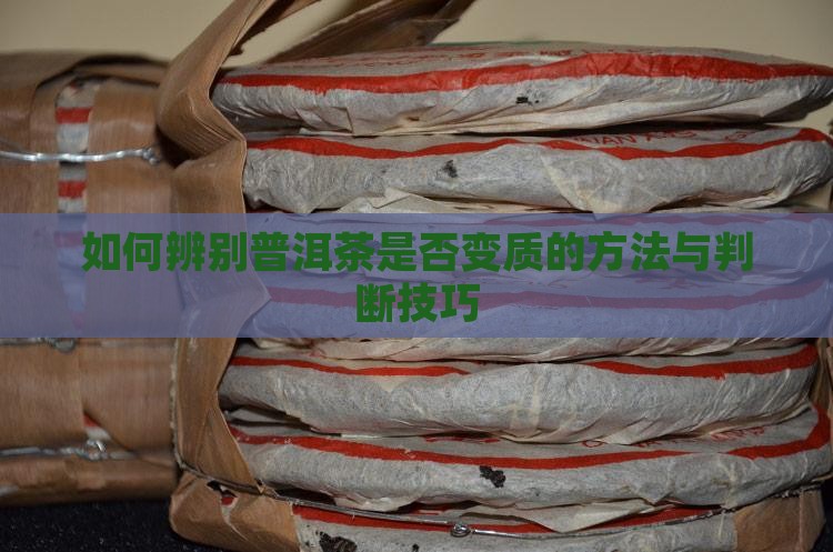 如何辨别普洱茶是否变质的方法与判断技巧