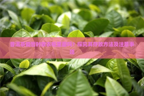 普洱茶能暂时放衣柜里面吗？探究其存放方法及注意事项