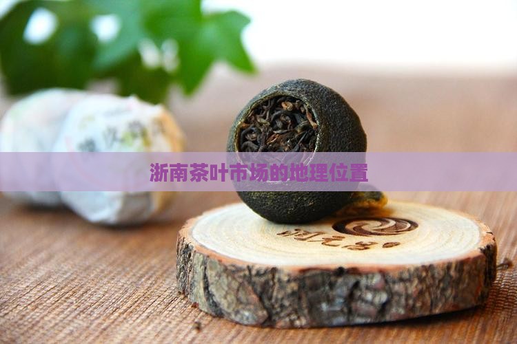 浙南茶叶市场的地理位置