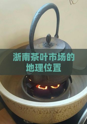 浙南茶叶市场的地理位置