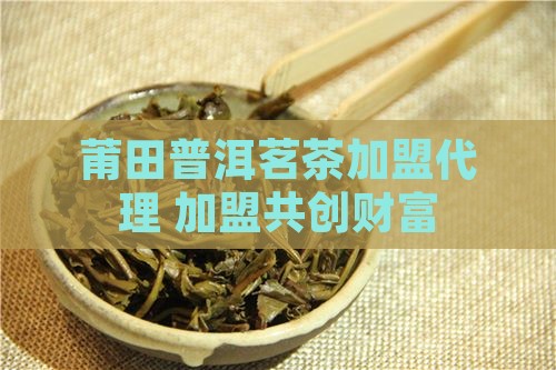 莆田普洱茗茶加盟代理 加盟共创财富