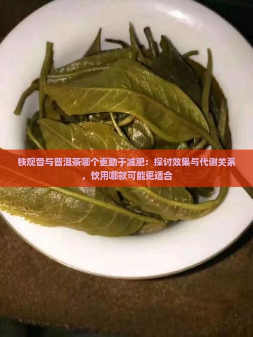 铁观音与普洱茶哪个更助于减肥：探讨效果与代谢关系，饮用哪款可能更适合