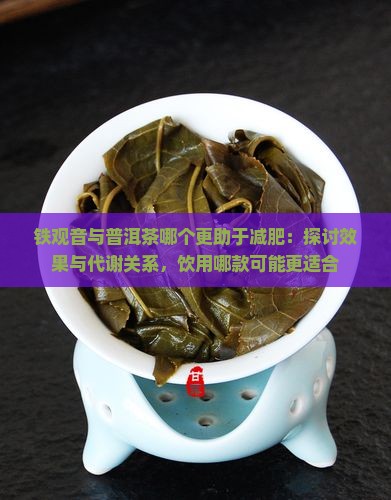 铁观音与普洱茶哪个更助于减肥：探讨效果与代谢关系，饮用哪款可能更适合