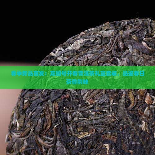 春季新品首发：龙园号开春普洱茶礼盒套装，品鉴春日茶香韵味