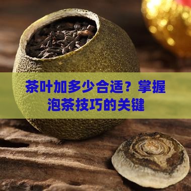 茶叶加多少合适？掌握泡茶技巧的关键