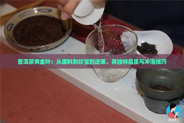 普洱茶黄金叶：从废料到珍宝的逆袭，其独特品质与冲泡技巧