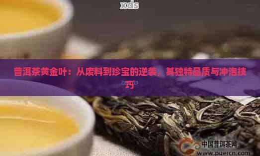 普洱茶黄金叶：从废料到珍宝的逆袭，其独特品质与冲泡技巧