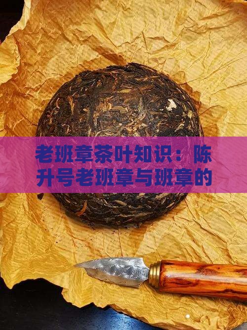 老班章茶叶知识：陈升号老班章与班章的区别