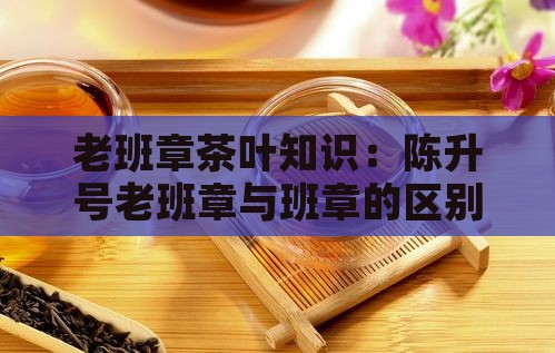 老班章茶叶知识：陈升号老班章与班章的区别