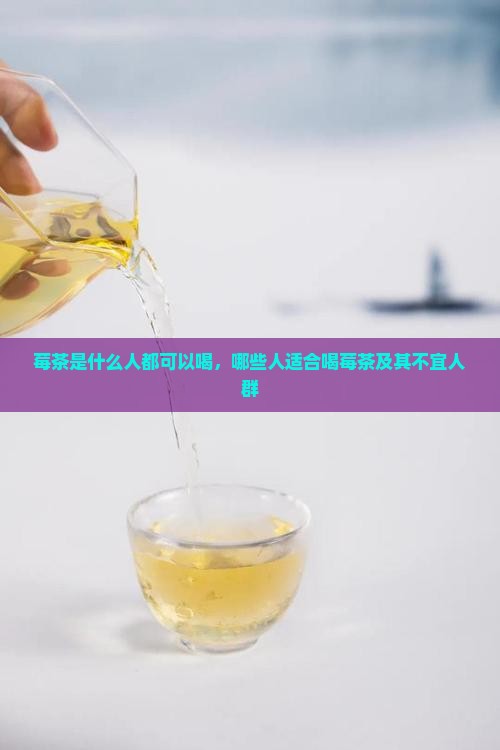 莓茶是什么人都可以喝，哪些人适合喝莓茶及其不宜人群