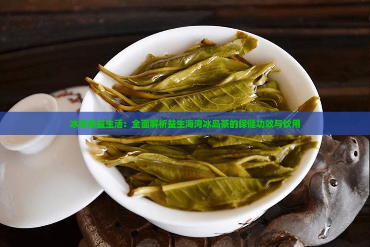 冰岛茶益生活：全面解析益生海湾冰岛茶的保健功效与饮用