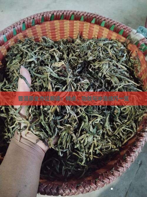 普洱茶全方位解读：特点、功效与冲泡技巧一览
