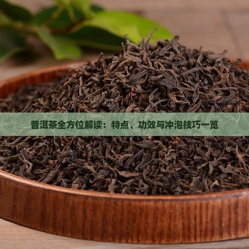 普洱茶全方位解读：特点、功效与冲泡技巧一览