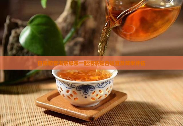白茶和普洱茶绿茶一起泡茶是否适宜及效果评估