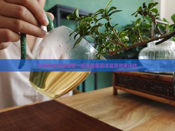 白茶和普洱茶绿茶一起泡茶是否适宜及效果评估