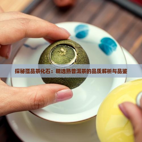 探秘蕴品茶化石：精选熟普洱茶的品质解析与品鉴