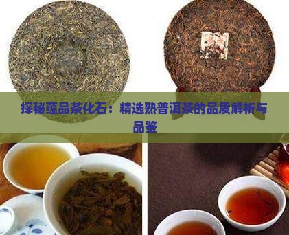 探秘蕴品茶化石：精选熟普洱茶的品质解析与品鉴