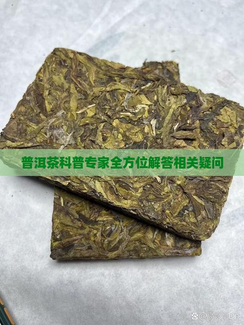 普洱茶科普专家全方位解答相关疑问