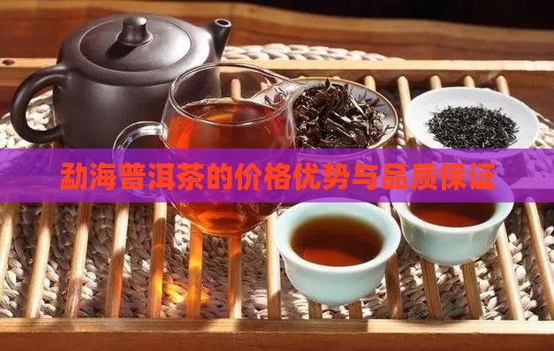 勐海普洱茶的价格优势与品质保证