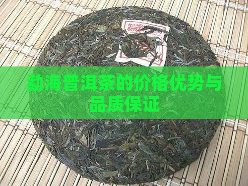 勐海普洱茶的价格优势与品质保证