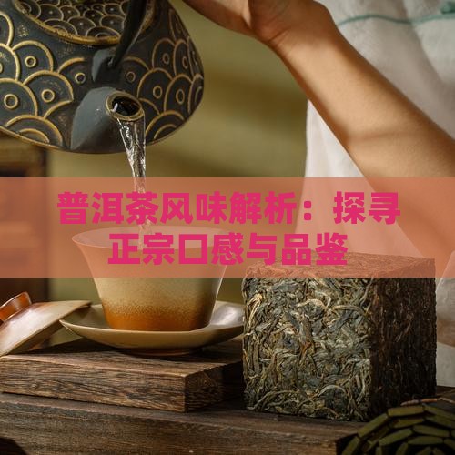 普洱茶风味解析：探寻正宗口感与品鉴