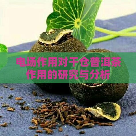 电场作用对干仓普洱茶作用的研究与分析