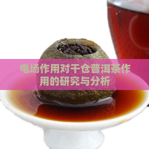 电场作用对干仓普洱茶作用的研究与分析