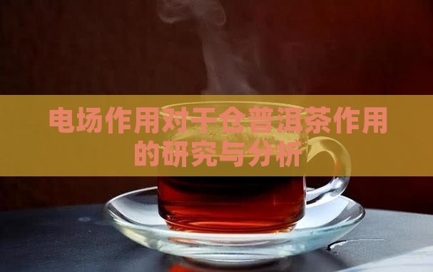 电场作用对干仓普洱茶作用的研究与分析