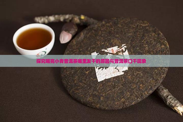 探究喝完小青普洱茶嘴里发干的原因与普洱茶口干现象
