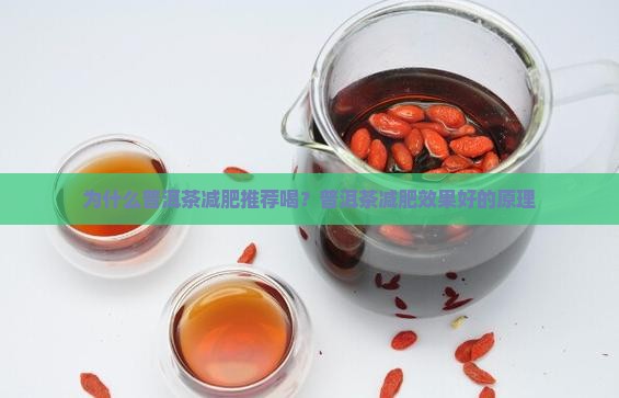 为什么普洱茶减肥推荐喝？普洱茶减肥效果好的原理
