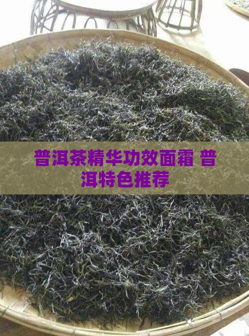 普洱茶精华功效面霜 普洱特色推荐