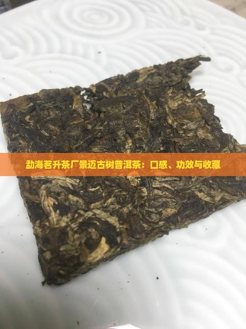 勐海茗升茶厂景迈古树普洱茶：口感、功效与收藏
