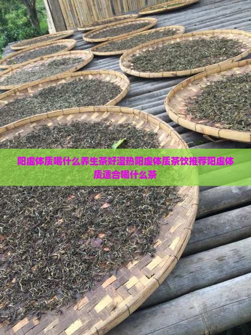 阳虚体质喝什么养生茶好湿热阳虚体质茶饮推荐阳虚体质适合喝什么茶
