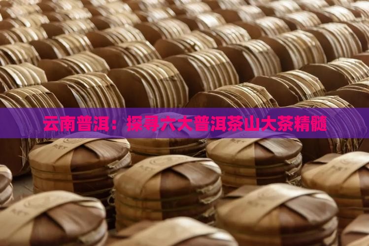 云南普洱：探寻六大普洱茶山大茶精髓