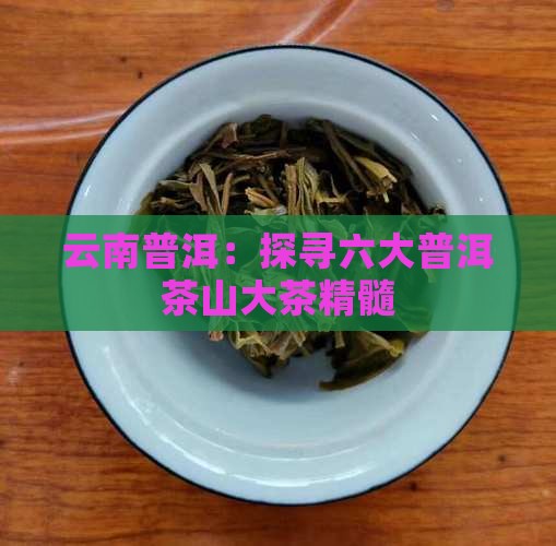 云南普洱：探寻六大普洱茶山大茶精髓
