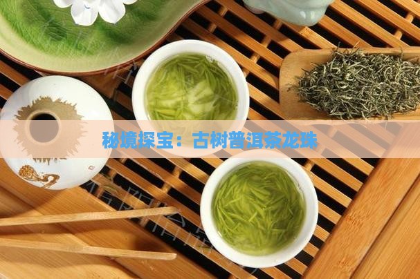 秘境探宝：古树普洱茶龙珠