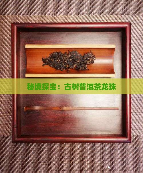 秘境探宝：古树普洱茶龙珠