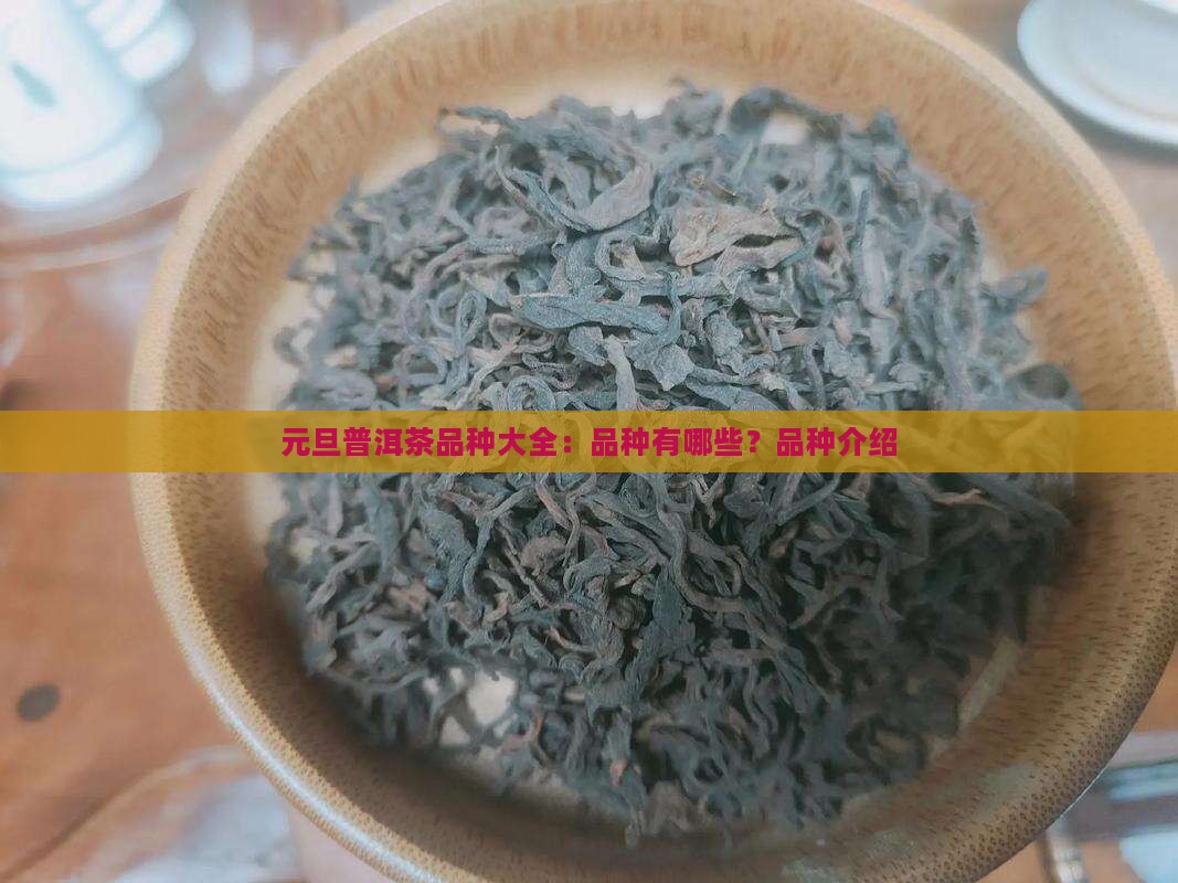元旦普洱茶品种大全:品种有哪些?品种介绍 元旦普洱茶品种大全:品种有哪些?品种介绍