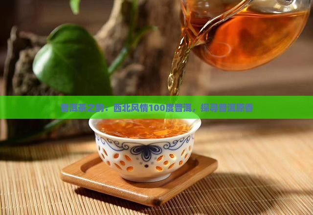 普洱茶之韵：西北风情100度普洱，探寻普洱原香