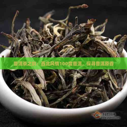 普洱茶之韵：西北风情100度普洱，探寻普洱原香
