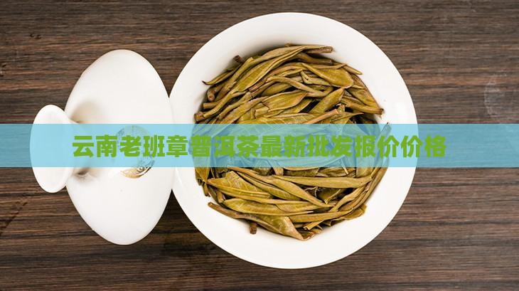 云南老班章普洱茶最新批发报价价格