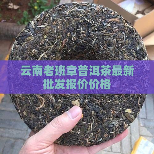 云南老班章普洱茶最新批发报价价格